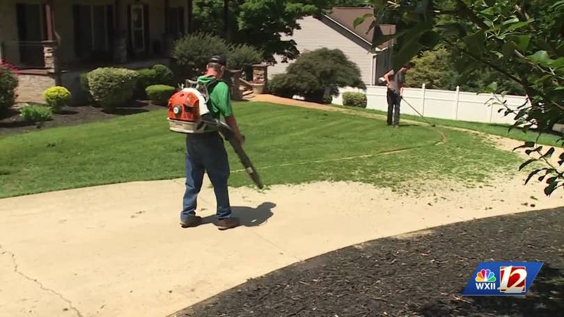 Professional landscaping and pool service crew at work
